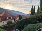 3 Zi. EG-Wohnung mit tollem Blick über den Neckar in HD-Ziegelhausen - Ausblick
