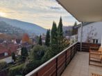 3 Zi. EG-Wohnung mit tollem Blick über den Neckar in HD-Ziegelhausen - Ausblick