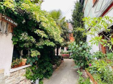 Für Liebhaber besonderer Immobilien: Kleines Einfamilienhaus mit 3 Zimmer, 69198 Schriesheim, Einfamilienhaus