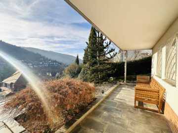 2 Zimmer Souterrain-Wohnung mit tollem Blick über den Neckar in HD-Ziegelhausen, 69118 Heidelberg / Ziegelhausen, Souterrainwohnung