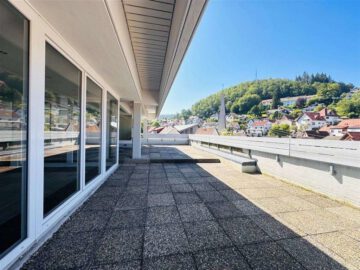 Schriesheim-Altenbach: WG-geeignetes 6-Zi.-Penthouse mit Terrasse, Balkon und 2 Carports, 69198 Schriesheim-Altenbach, Etagenwohnung