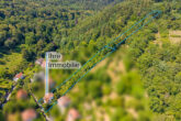 Stilvolles 3-Familienhaus in begehrter Lage von Heidelberg - Orientierungsübersicht